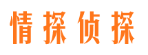 九龙坡出轨调查